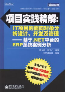 項目實踐精解 IT項目的面向對象分析設計 開發及管理 基于.NET平臺的ERP系統案例分析 含CD光盤1張
