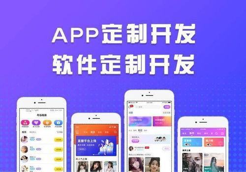 軟件定制公司