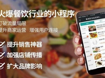 圖 全國地區移動端app軟件定制開發,微小程序開發 廣州網站建設推廣