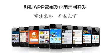 長沙app開發 手機app定制開發