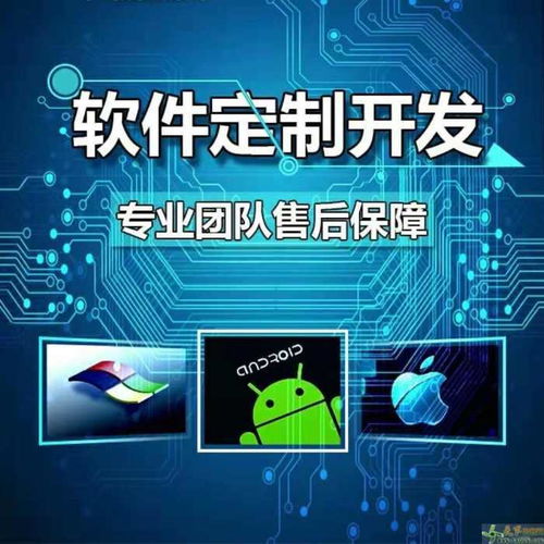 定制型軟件的區別