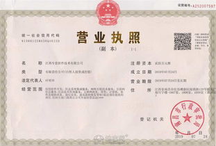 app制作軟件開發(fā)oa系統(tǒng)代還系統(tǒng)erp系統(tǒng) 南昌網站制作