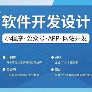 軟件開發(fā)公司常見定制開發(fā)類型有哪些 悠速系統(tǒng)