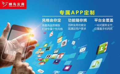 福建手機app開發(fā)企業(yè)app開發(fā)定制外包公司
