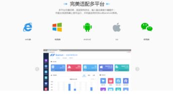 web快速開(kāi)發(fā)平臺(tái),基于二次開(kāi)發(fā)平臺(tái)