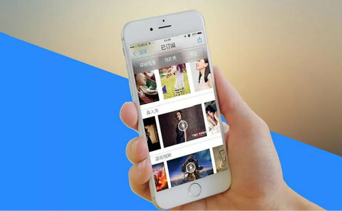 江蘇社交app定制開發功能案例簡介