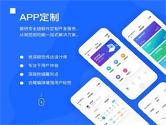 東莞軟件開發(fā)公司